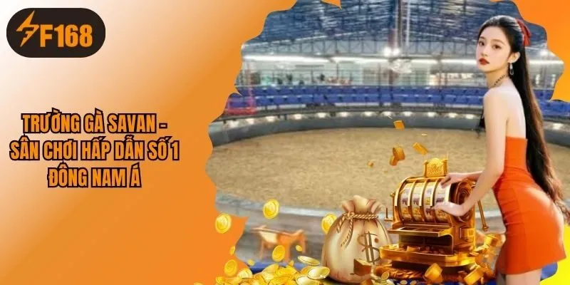 Trường Gà Savan - Sân Chơi Nổi Danh Bậc Nhất Đông Nam Á